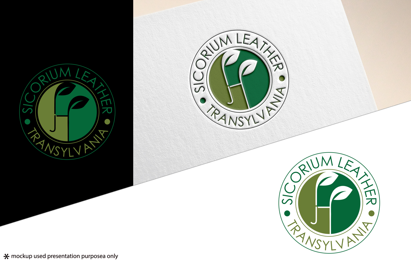 Logo Design by Rubia@ for Sicorium | Design #24355732