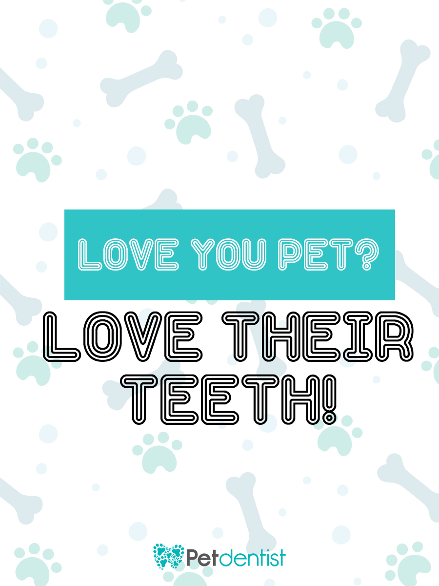 T-shirt Design by Muhammed Niyaz for Petdentist | Design #24413254