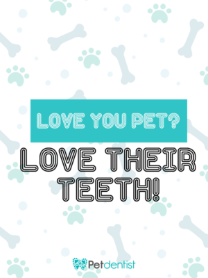Diseño de Camiseta por Muhammed Niyaz para Petdentist | Diseño: #24413254