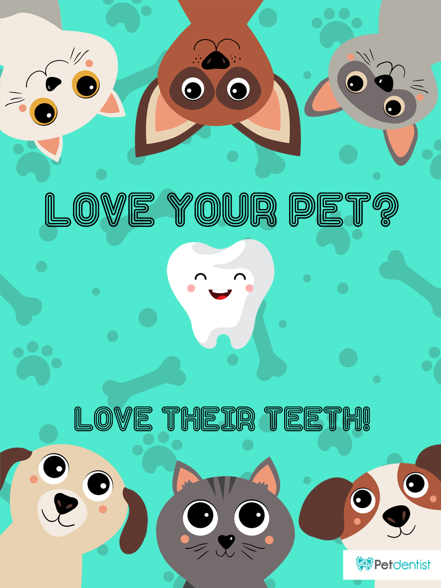 T-shirt Design by Muhammed Niyaz for Petdentist | Design #24413322