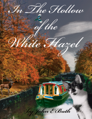 Book Cover Design by AditiArts for this project | Design: #24367311