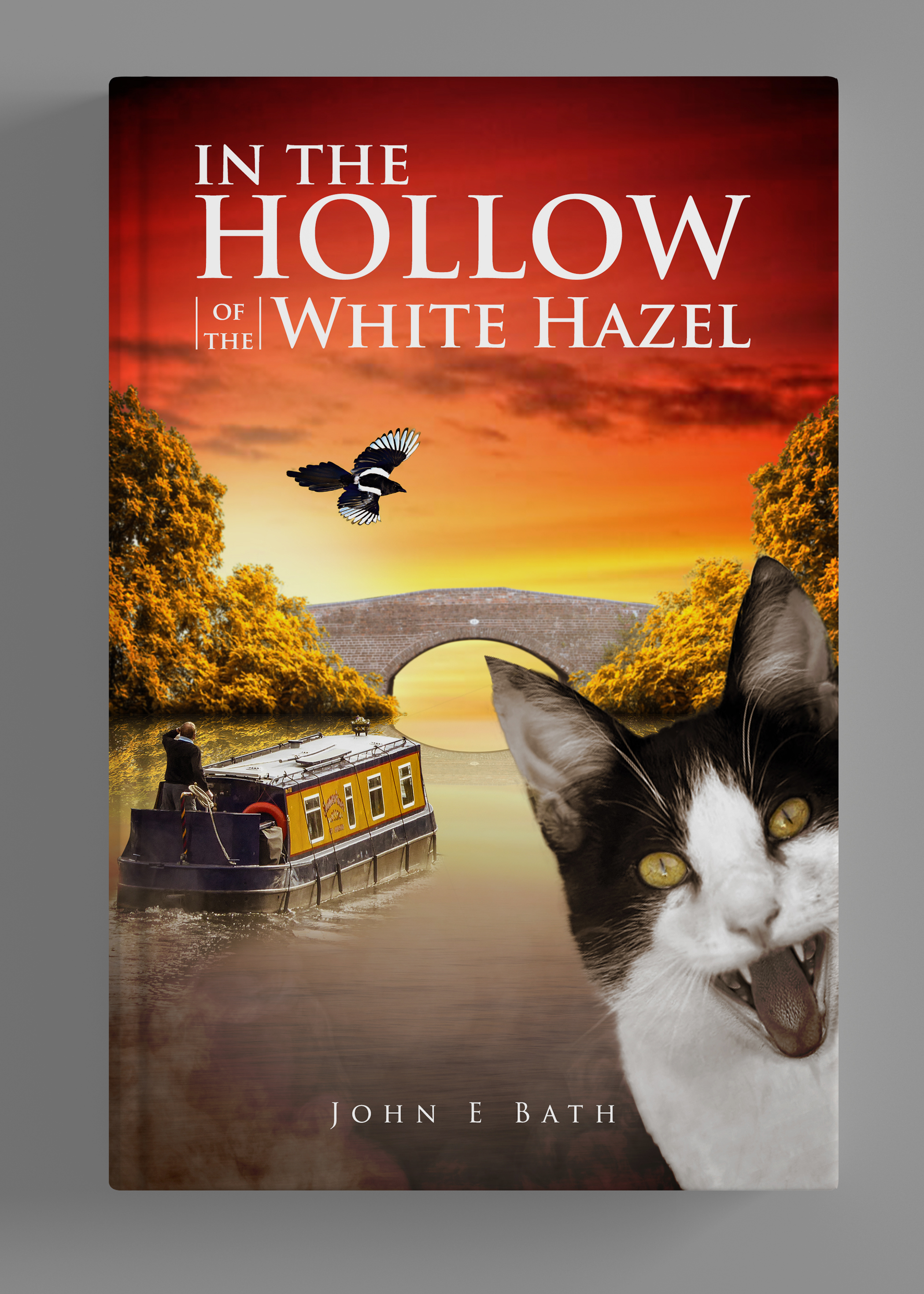 Book Cover Design by SAI DESIGNS for this project | Design #24386669