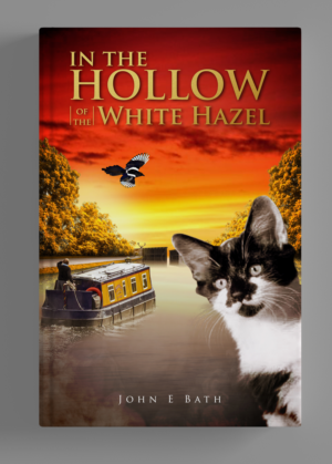 Book Cover Design by SAI DESIGNS