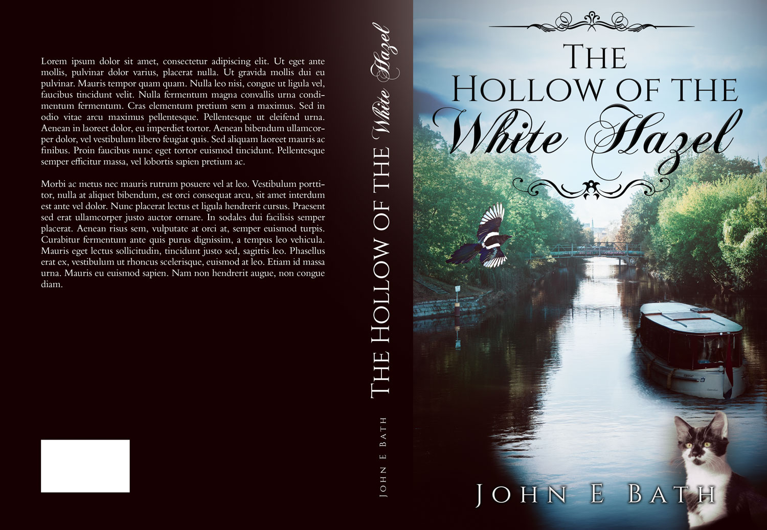 Book Cover Design by Estratosphera for this project | Design #24442290