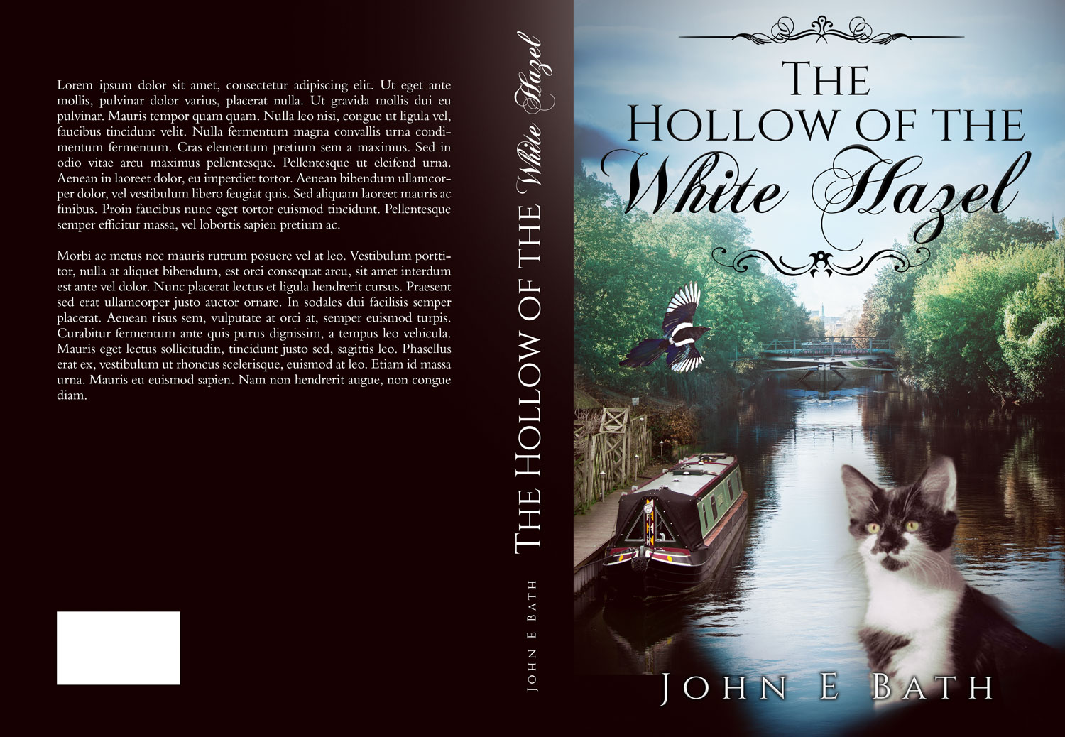 Book Cover Design by Estratosphera for this project | Design #24442757
