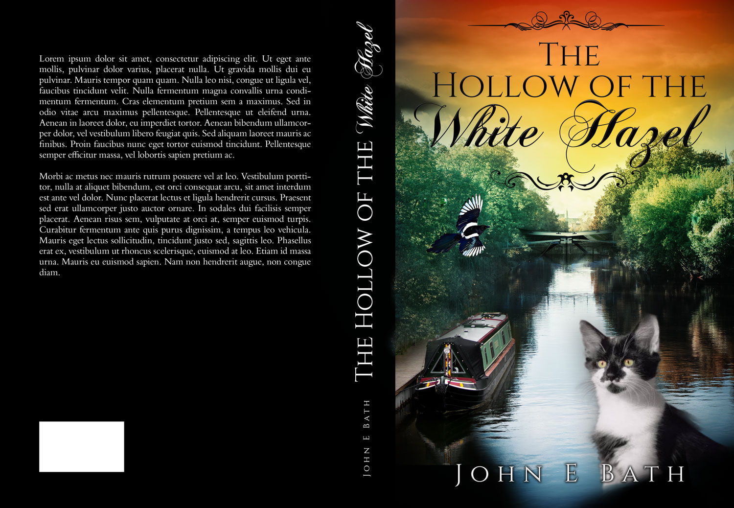Book Cover Design by Estratosphera for this project | Design #24444068