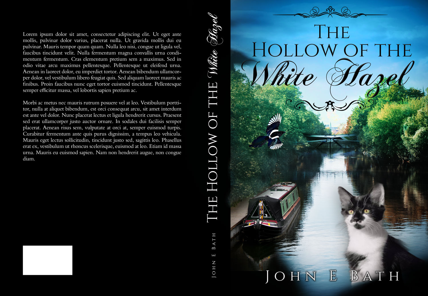 Book Cover Design by Estratosphera for this project | Design #24444069