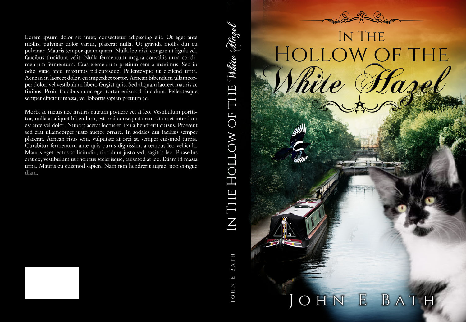 Book Cover Design by Estratosphera for this project | Design: #24461420