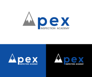 Apex Inspection Academy  | Logo Design by GoodTimes$$$