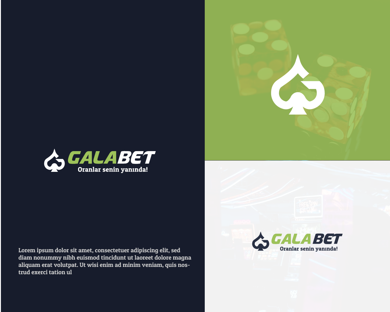 Diseño de Logo por Ak4li™ para este proyecto | Diseño #24363434