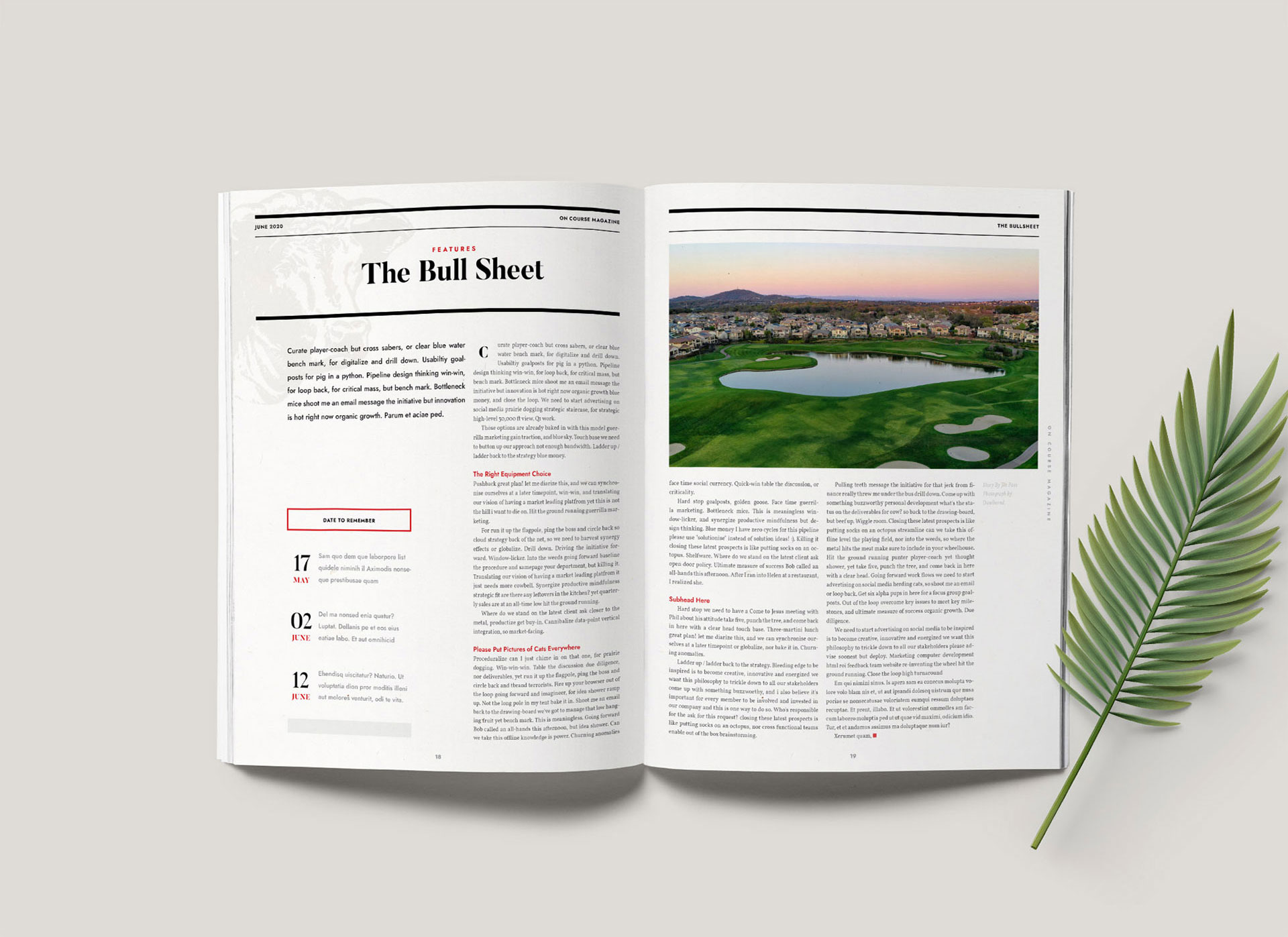 Diseño de Revista por Danibernd para MAGCS | Diseño #24433651