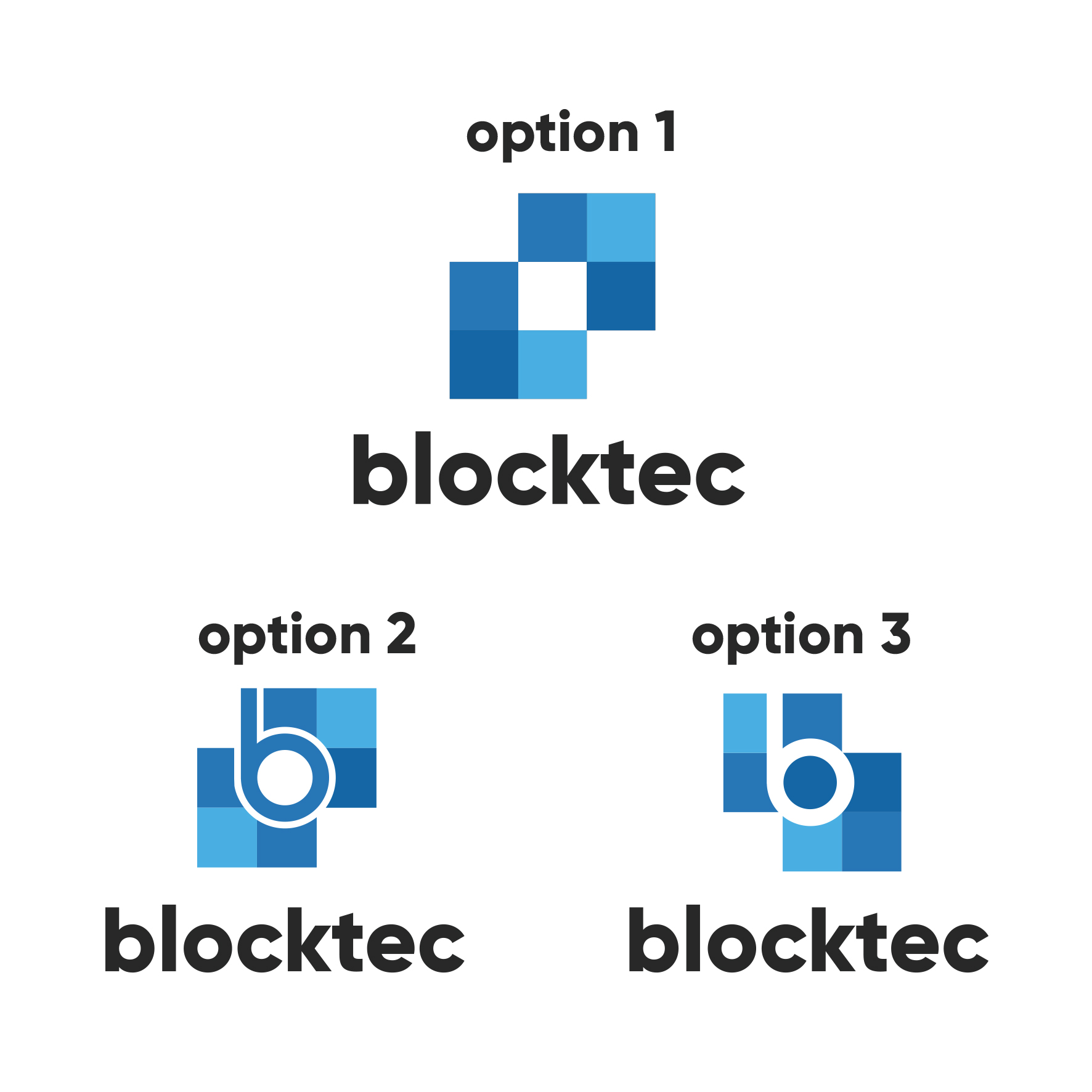 Logo Design by IdentsArt for blocktec Stefan Brandner | Design #24378169