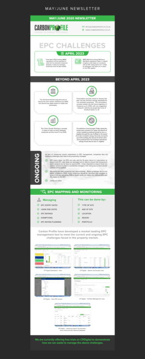 May/June Newsletter | Newsletter Design by SAI DESIGNS