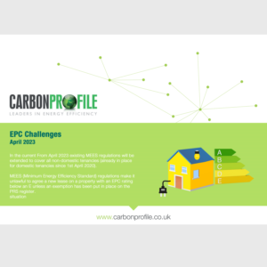 Newsletter Design by Mediainfy
