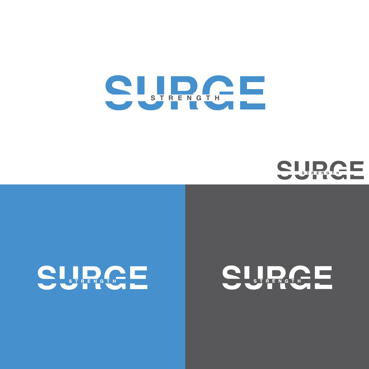 Logo Design by LogoToGoStudio for RITTER Sports Performance | Design #24377829