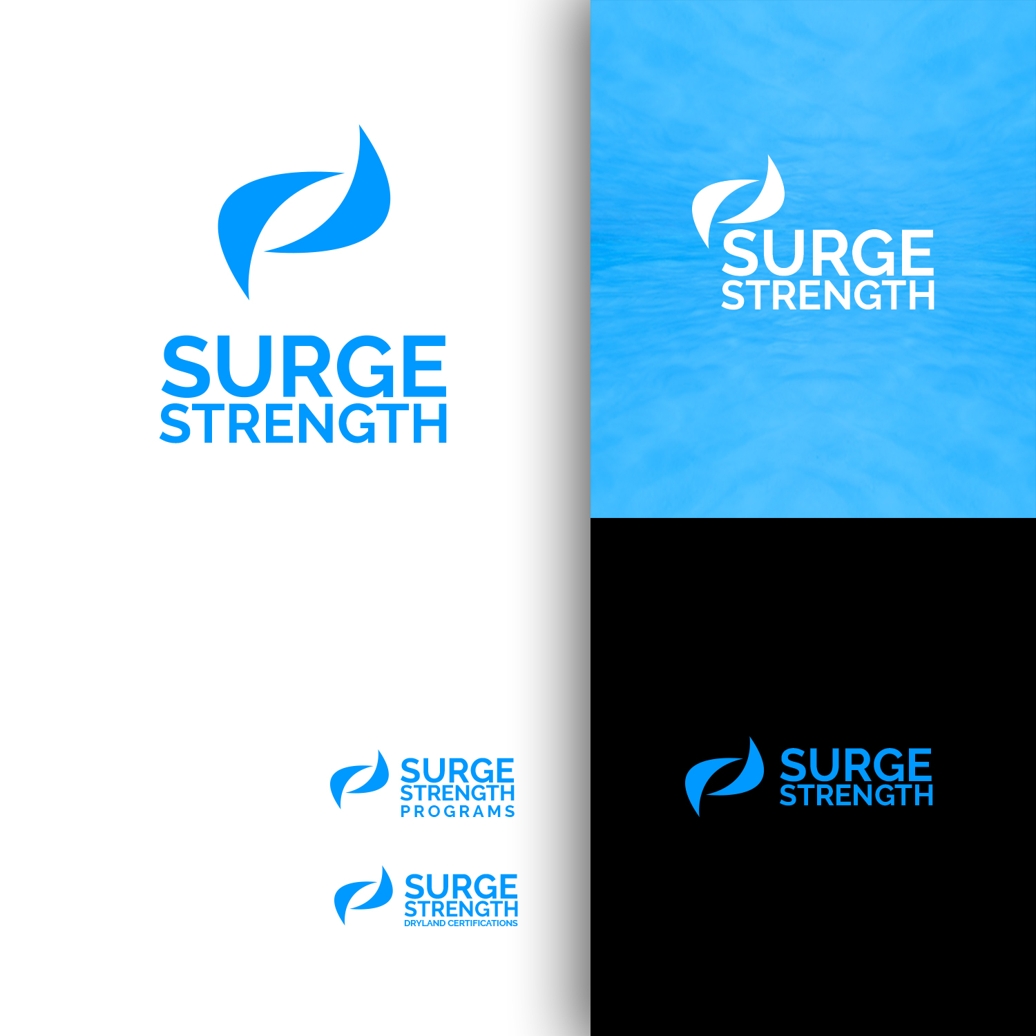 Design de Logo par nzdesigners pour RITTER Sports Performance | Design #24392319