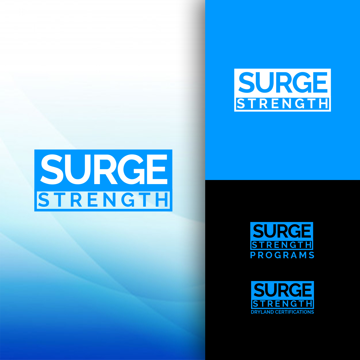 Logo Design by nzdesigners for RITTER Sports Performance | Design #24392321