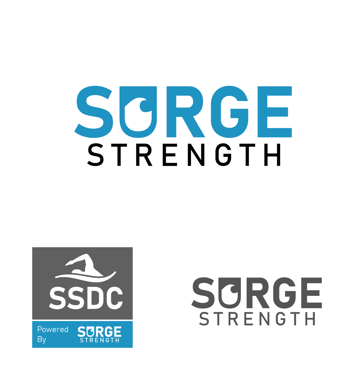 Diseño de Logo por ipog para RITTER Sports Performance | Diseño #24433014