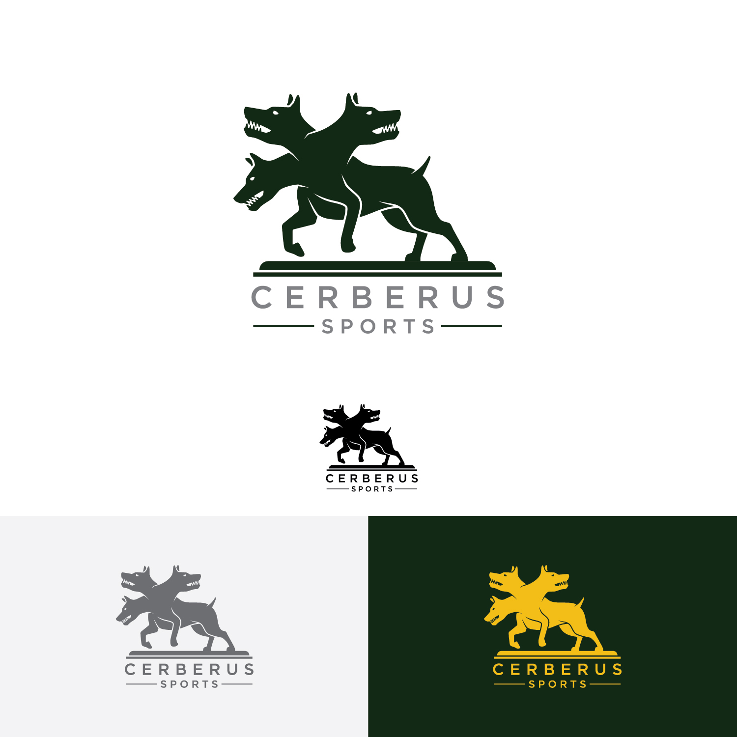 Logo Design by CS_Creatives for this project | Design #24439488