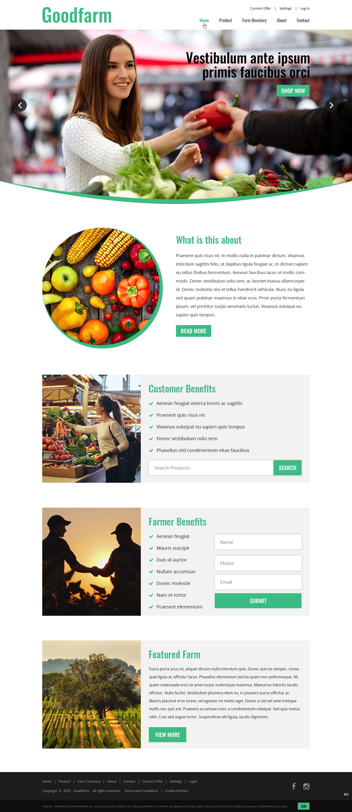 Web Design by pb for Ciklus d.o.o. | Design #24396937
