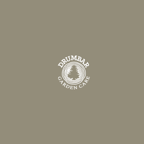 Logo Design by DUAL DESIGNER for Farvegur Travel Investments | Design #24411953