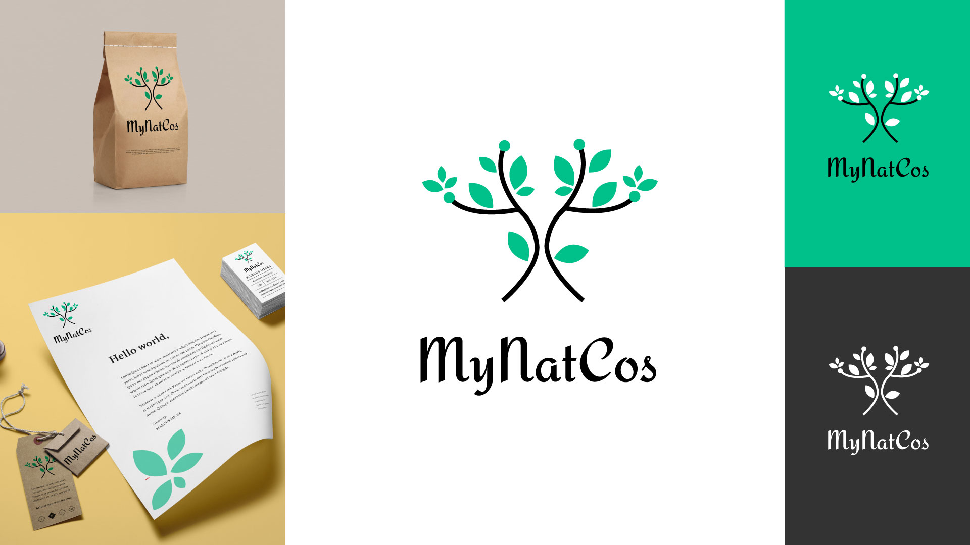 Logo Design by Eduardo Ciangherotti for Peter Steck | Design #24406354