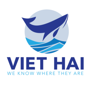 Logo Design by strap