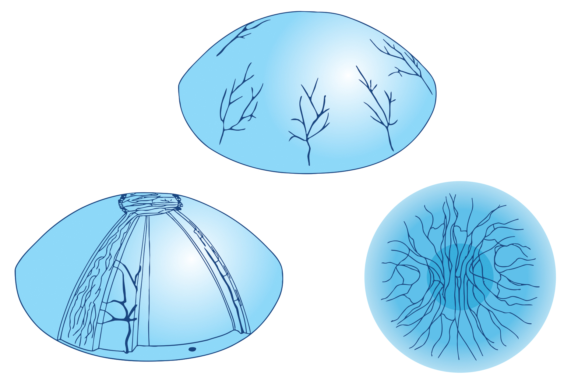 Design Illustration par reddmac pour Fusion???? | Design #24411808