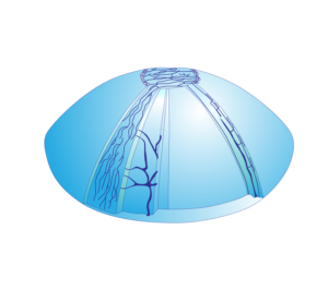 Design Illustration par Min2 pour Fusion???? | Design : #24424377