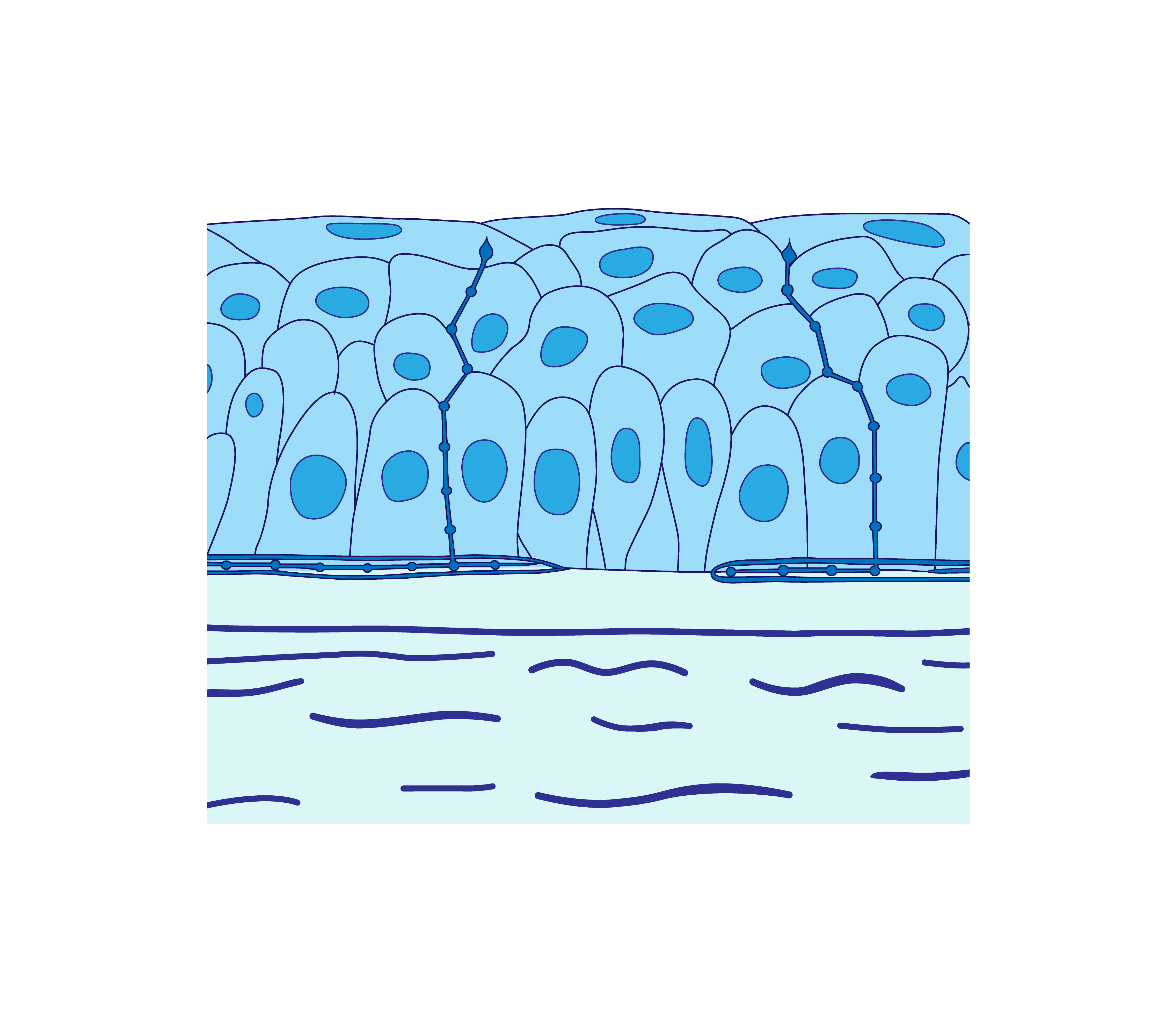 Design Illustration par Min2 pour Fusion???? | Design #24424408