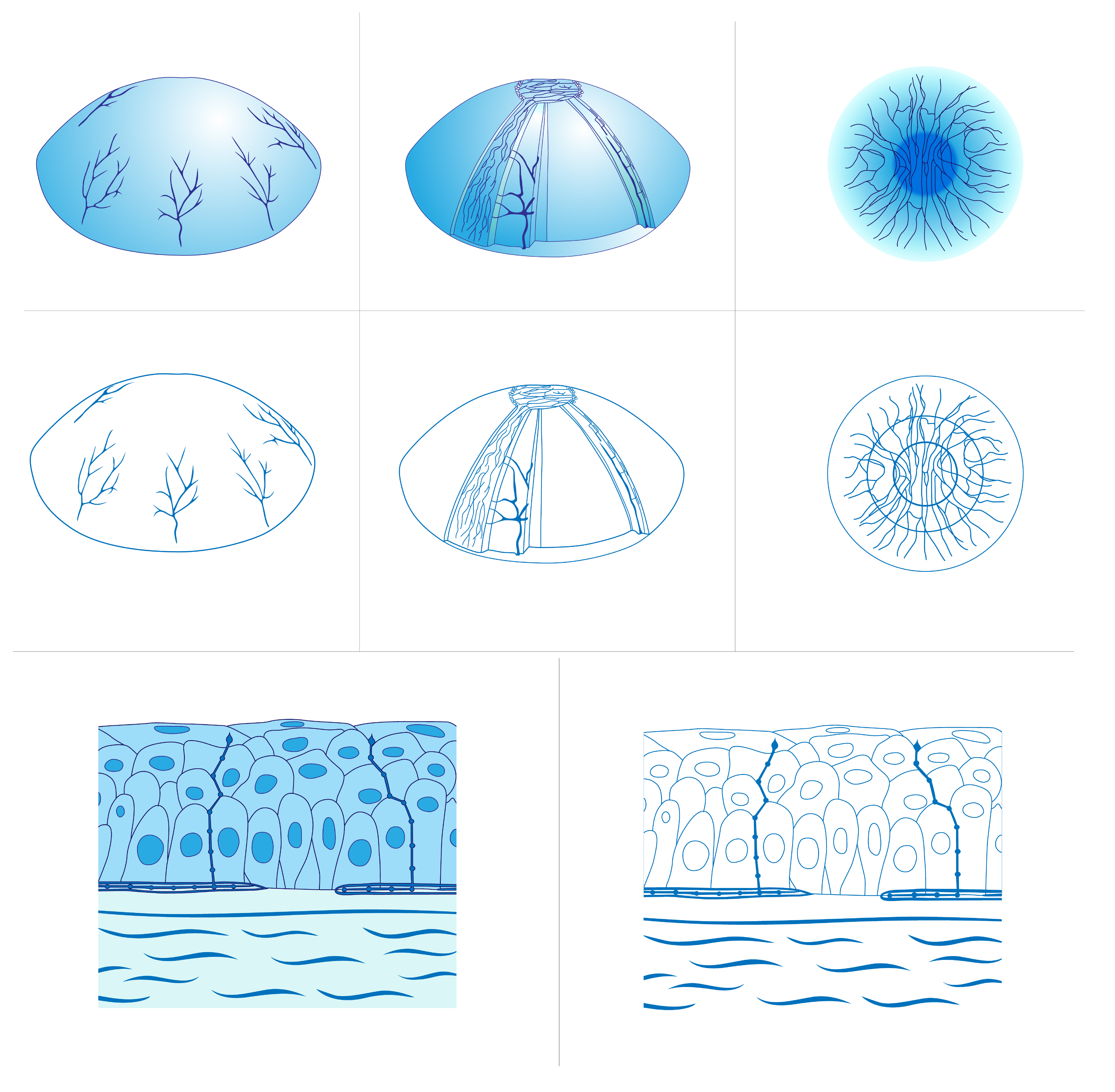 Design Illustration par Min2 pour Fusion???? | Design #24429068