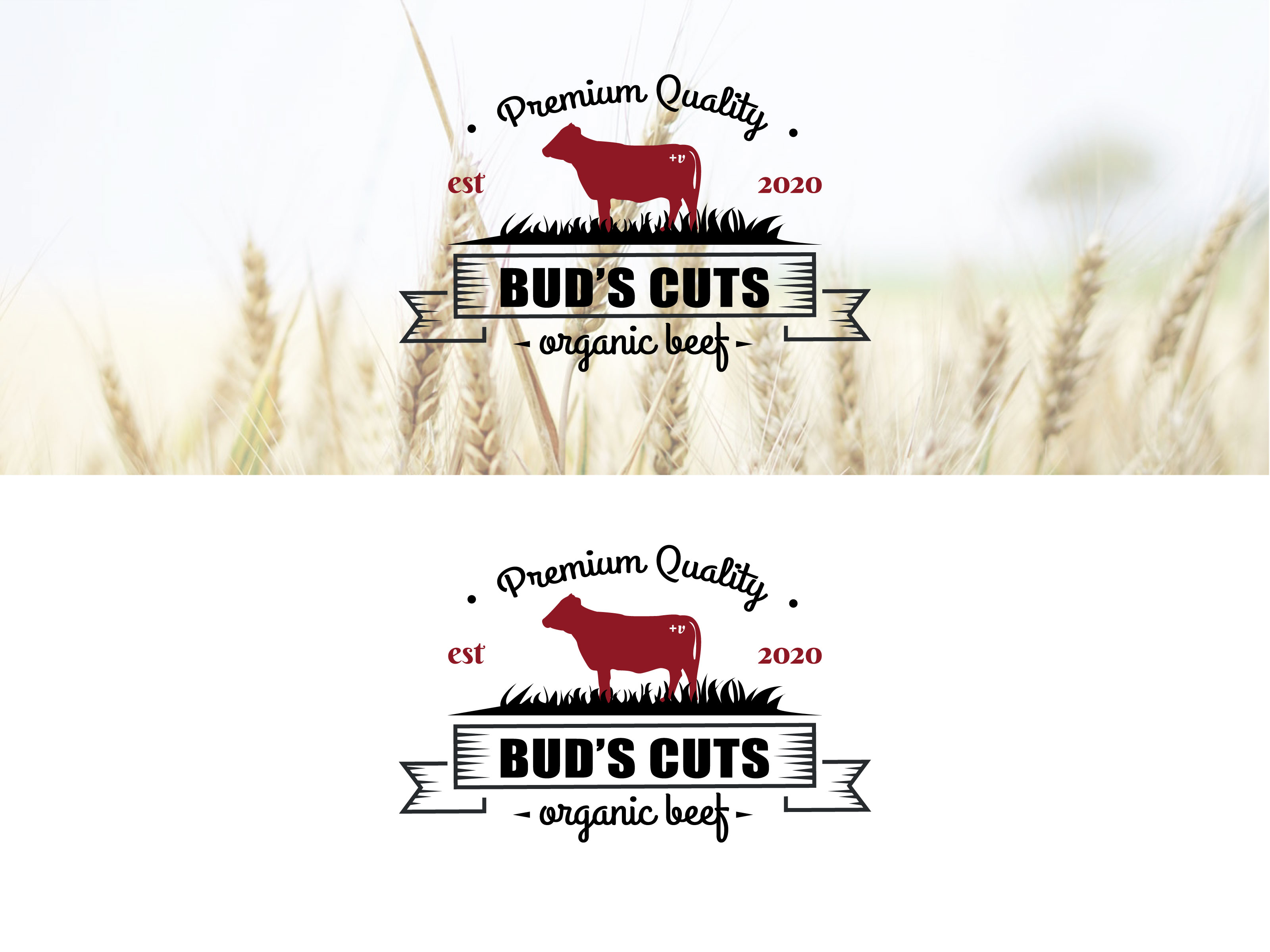 Logo Design by Fajr. for this project | Design #24428497