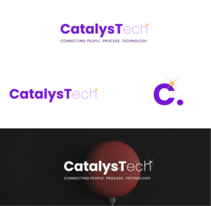 Logo Design by Veesion