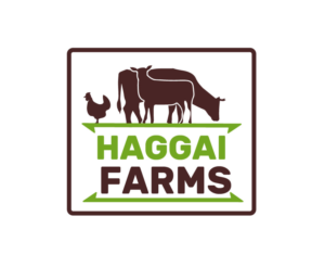 Logo Design by PicTaya 2