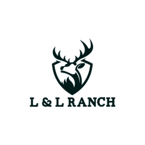 Logo Design by hadi41181