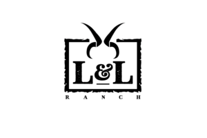 Diseño de Logo por ivo_i_ivanov para este proyecto | Diseño: #24431914
