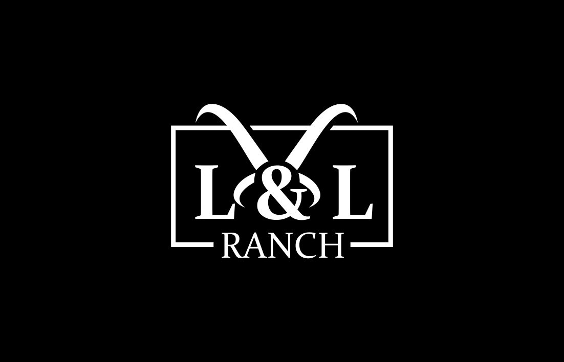 Diseño de Logo por soulpro03 para este proyecto | Diseño #24426438