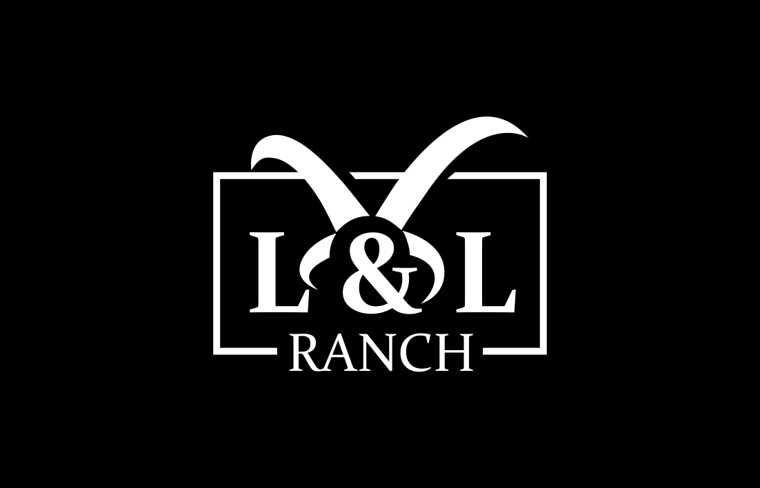 Logo Design by soulpro03 for this project | Design #24434987