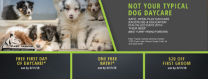 Facebook Design by DiCracft design studio for this project | Design: #24439383