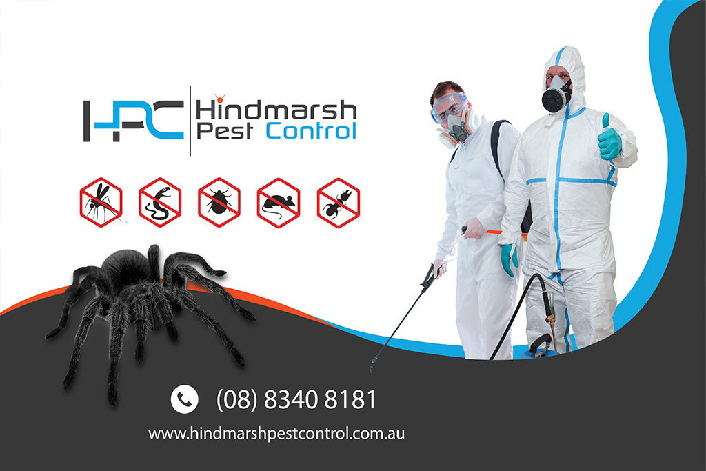 Car Wrap Design by Ahmed Ebedy98 for Hindmarsh Pest Control | Design #24448553