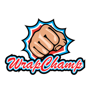 Logo Design by Asanyo