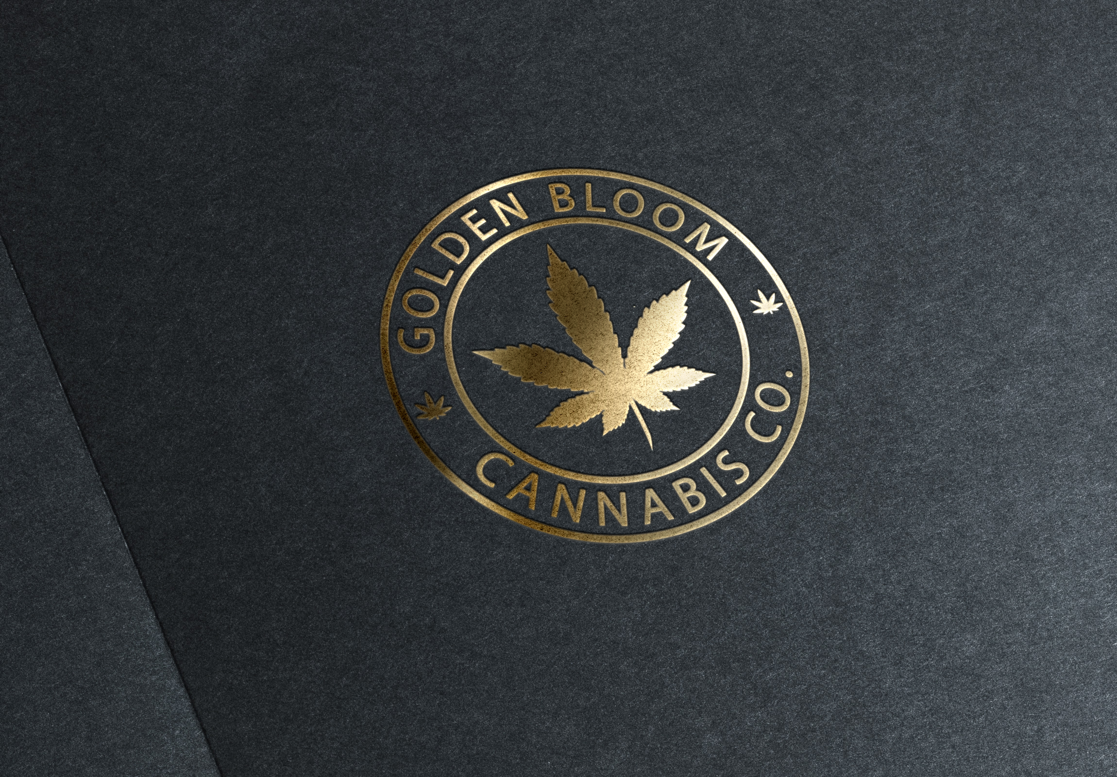 Logo Design by baxterdesign for this project | Design #24441572