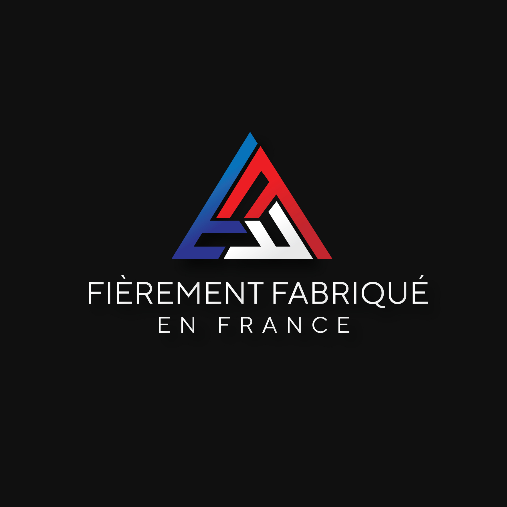 Diseño de Logo por IdentsArt para este proyecto | Diseño #24461998