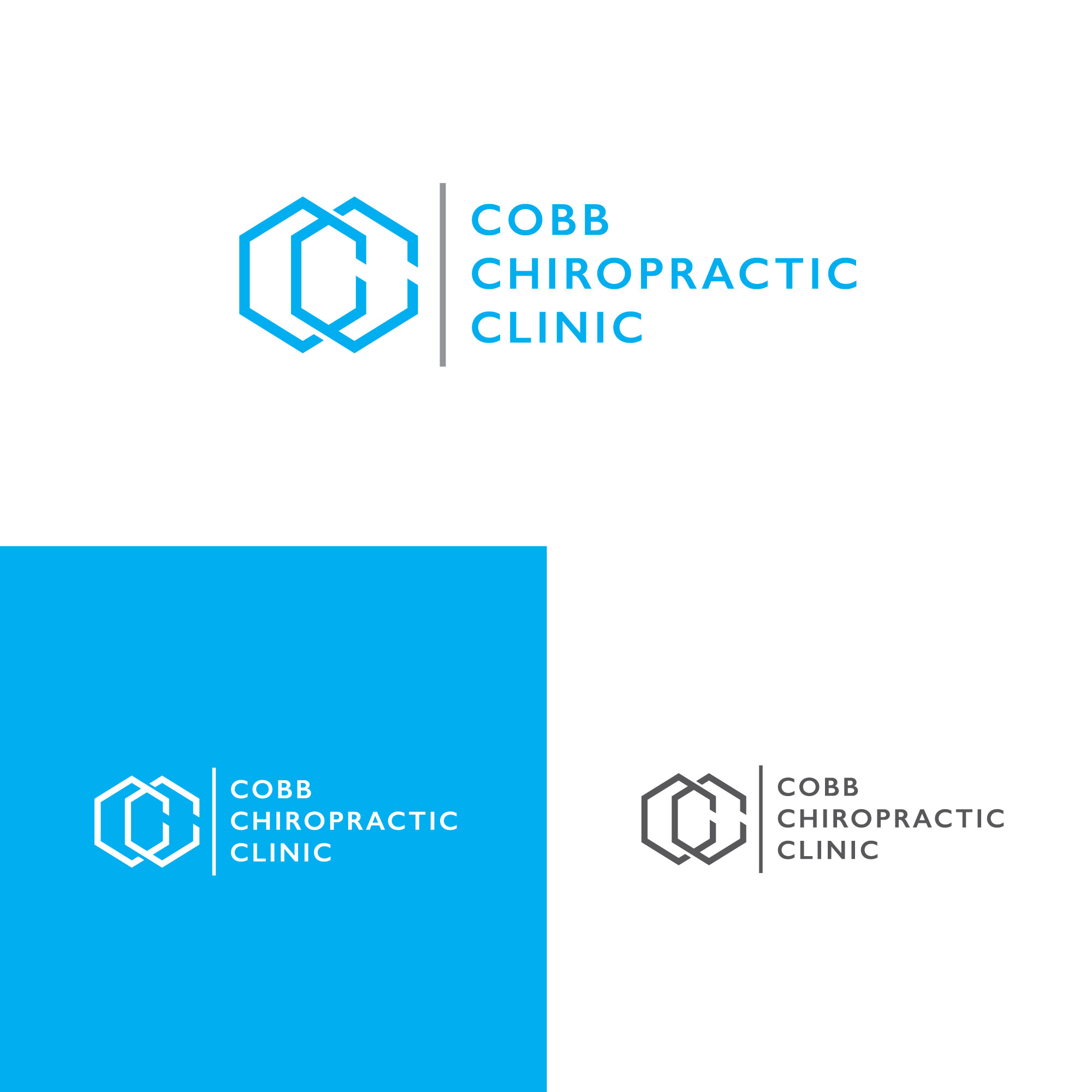 Design de Logo par LogoToGoStudio pour ce projet | Design #24469081