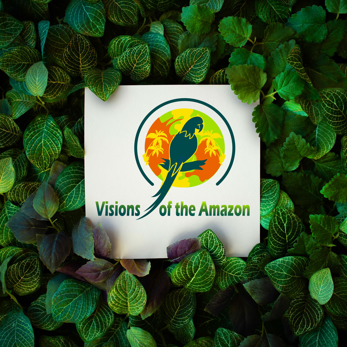 Logo Design by Wonderful design for Amazon Warrior | Design #24451107