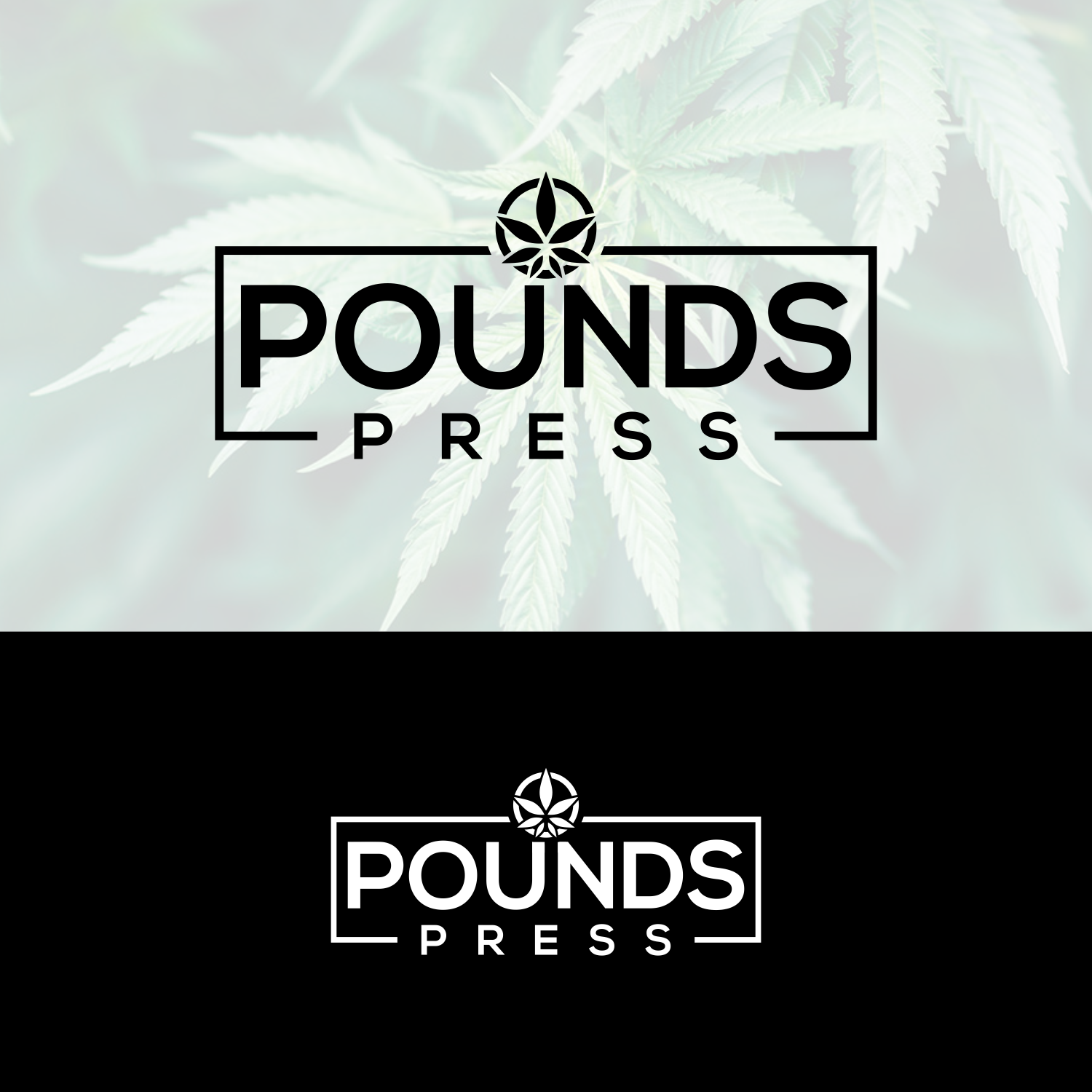 Logo Design by saher khan 2 for this project | Design #24479474