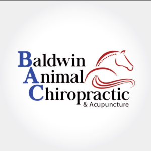 Logo Design by msddesigncrowdworks for this project | Design #24481544