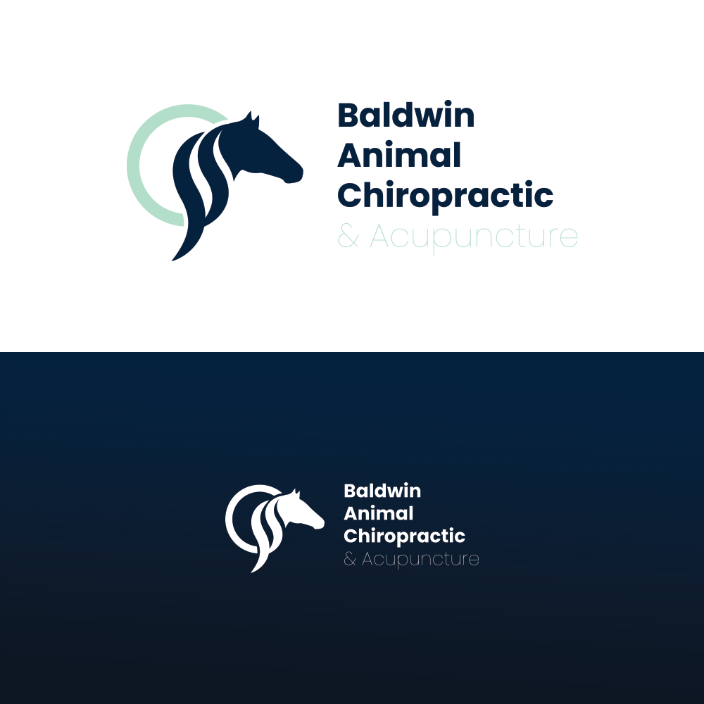 Diseño de Logo por MHF para este proyecto | Diseño #24464499