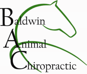 Logo Design by Abigail107
