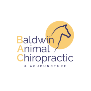 Logo Design by J sikder
